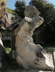 P1011374a1.jpg